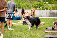 rddc-yoga-0826_155