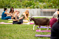 rddc-yoga-0826_161