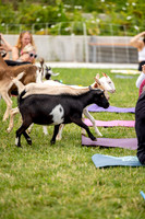 rddc-yoga-0826_189