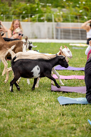 rddc-yoga-0826_189
