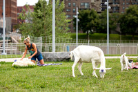 rddc-yoga-0826_010