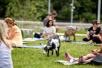 rddc-yoga-0826_014