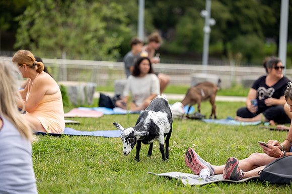 rddc-yoga-0826_014