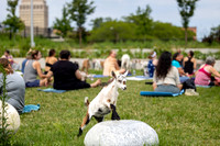 rddc-yoga-0826_023