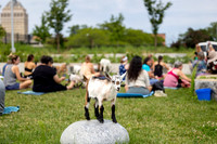 rddc-yoga-0826_025
