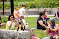 rddc-yoga-0826_037