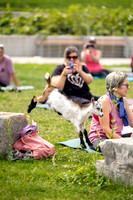 rddc-yoga-0826_041