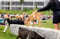 rddc-yoga-0826_071