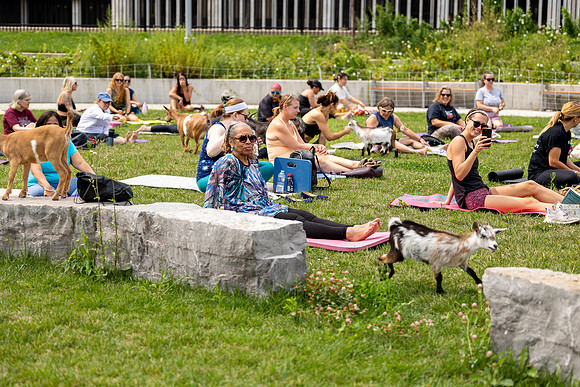 rddc-yoga-0826_078