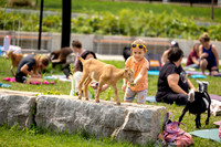 rddc-yoga-0826_104