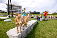 rddc-yoga-0826_105