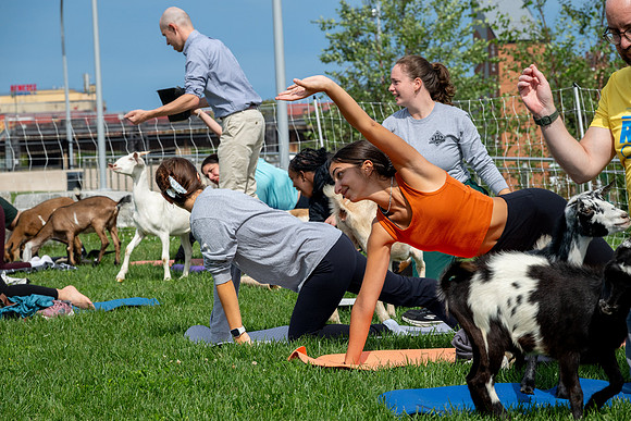 rddc-yoga-0926_0130