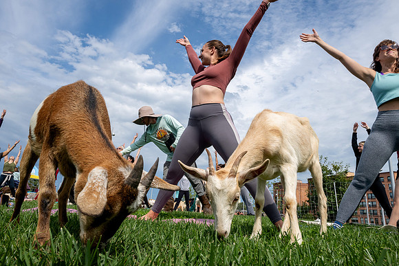 rddc-yoga-0926_0192