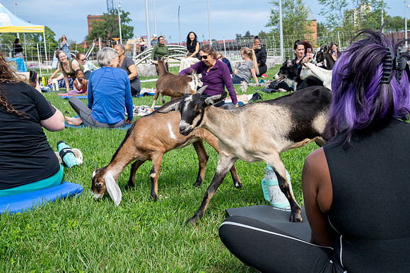rddc-yoga-0926_0009