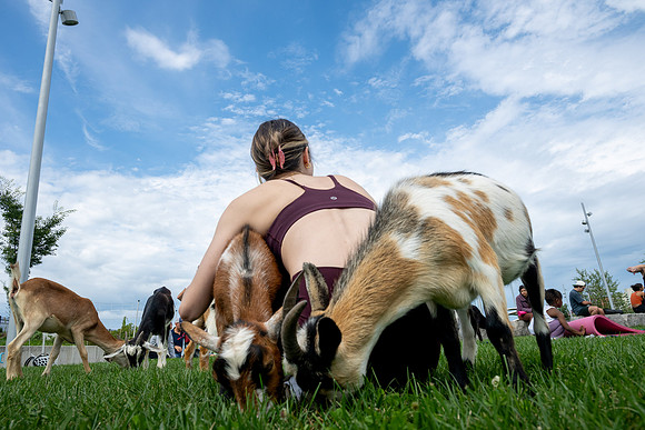 rddc-yoga-0926_0540