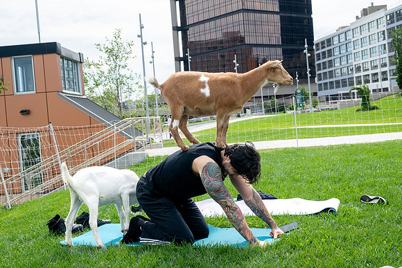 rddc-yoga-0926_0350