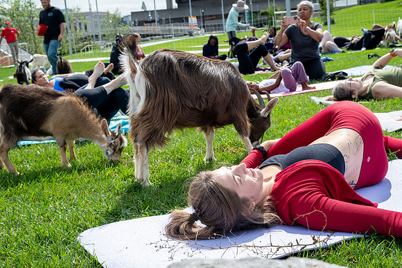 rddc-yoga-0926_0260