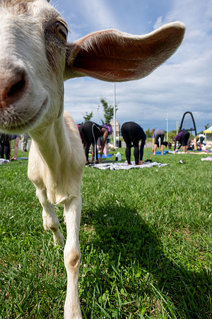 rddc-yoga-0926_0223