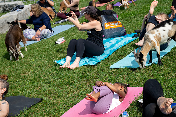 rddc-yoga-0926_0232