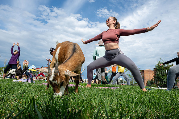 rddc-yoga-0926_0201