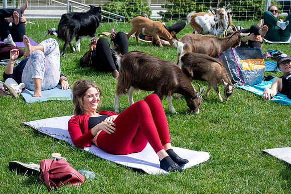 rddc-yoga-0926_0246