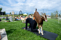 rddc-yoga-0926_0091