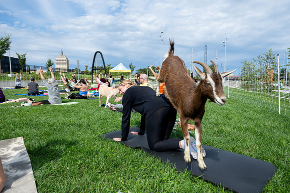 rddc-yoga-0926_0091