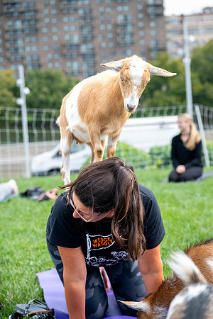 rddc-yoga-0926_0386