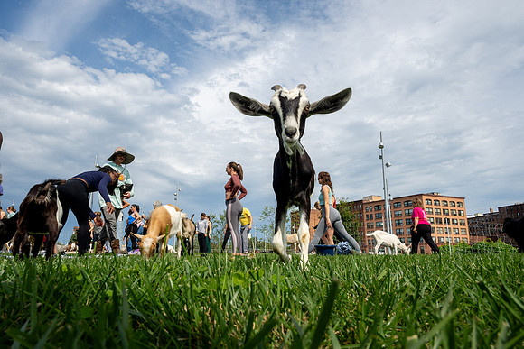 rddc-yoga-0926_0173