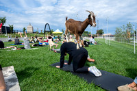 rddc-yoga-0926_0088