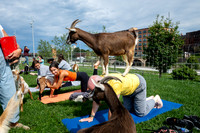 rddc-yoga-0926_0073