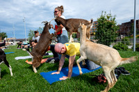 rddc-yoga-0926_0065