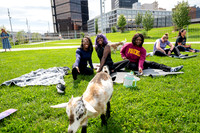 rddc-yoga-0926_0094