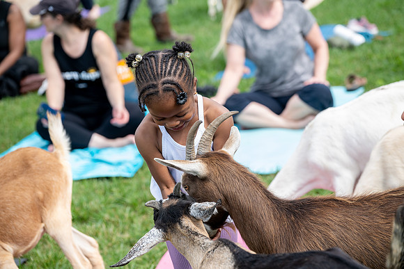 rddc-yoga-0926_0416