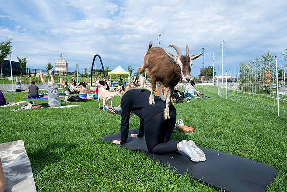 rddc-yoga-0926_0090