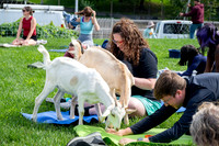rddc-yoga-0926_0029