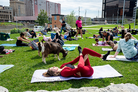 rddc-yoga-0926_0251