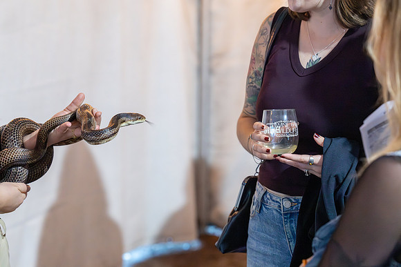 wine-wildlife-2026_368