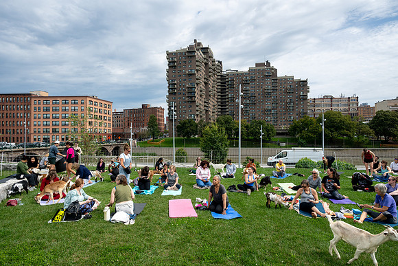 rddc-yoga-0926_0451