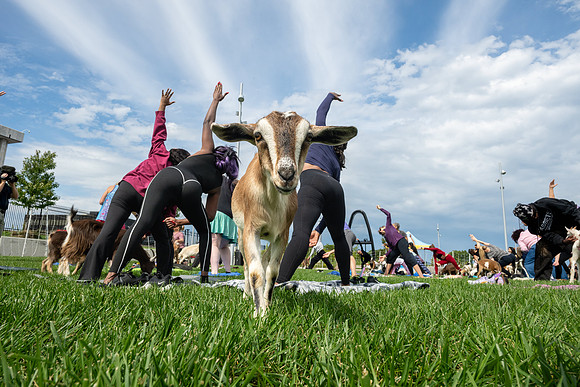 rddc-yoga-0926_0175