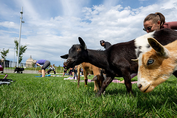 rddc-yoga-0926_0183