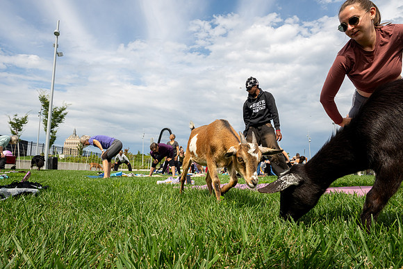 rddc-yoga-0926_0181