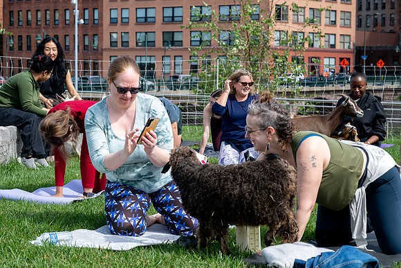 rddc-yoga-0926_0037