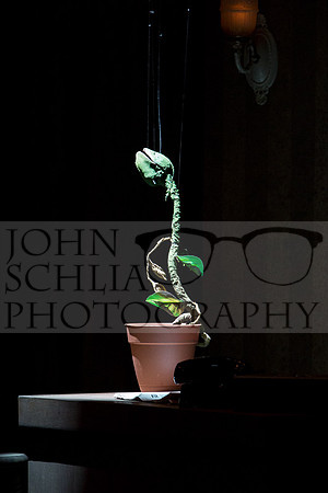 schlia-little-shop-of-horrors-054-web