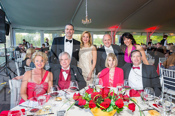 2017-heart-ball_schlia-105