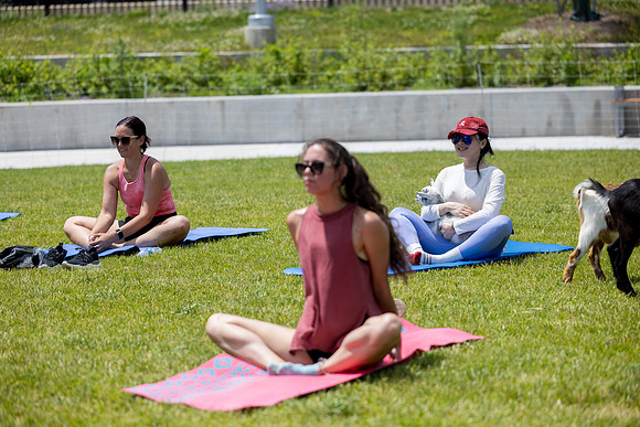 250624-yoga_497