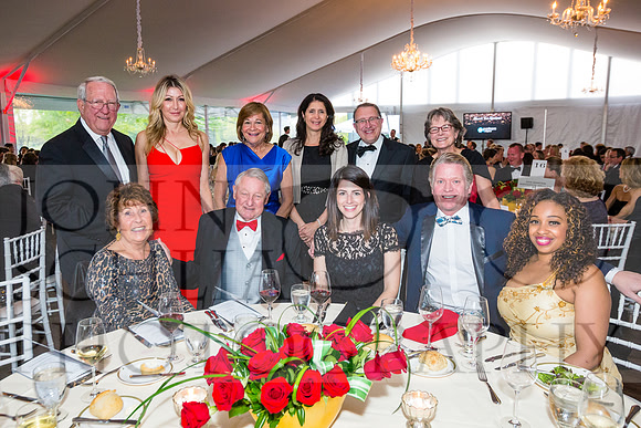 2017-heart-ball_schlia-110