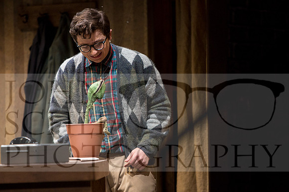 schlia-little-shop-of-horrors-050-web