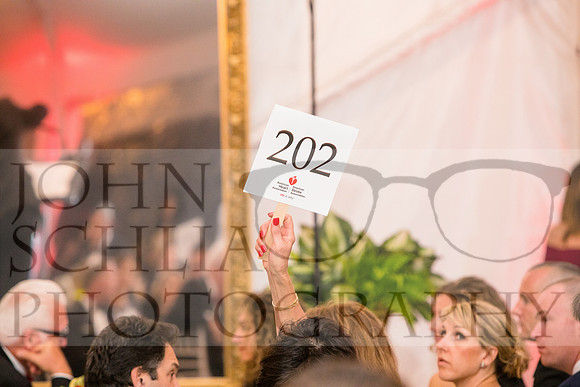 2017-heart-ball_schlia-171