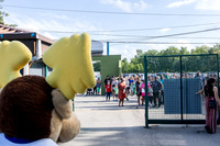 zoo-dream-night-2025_001